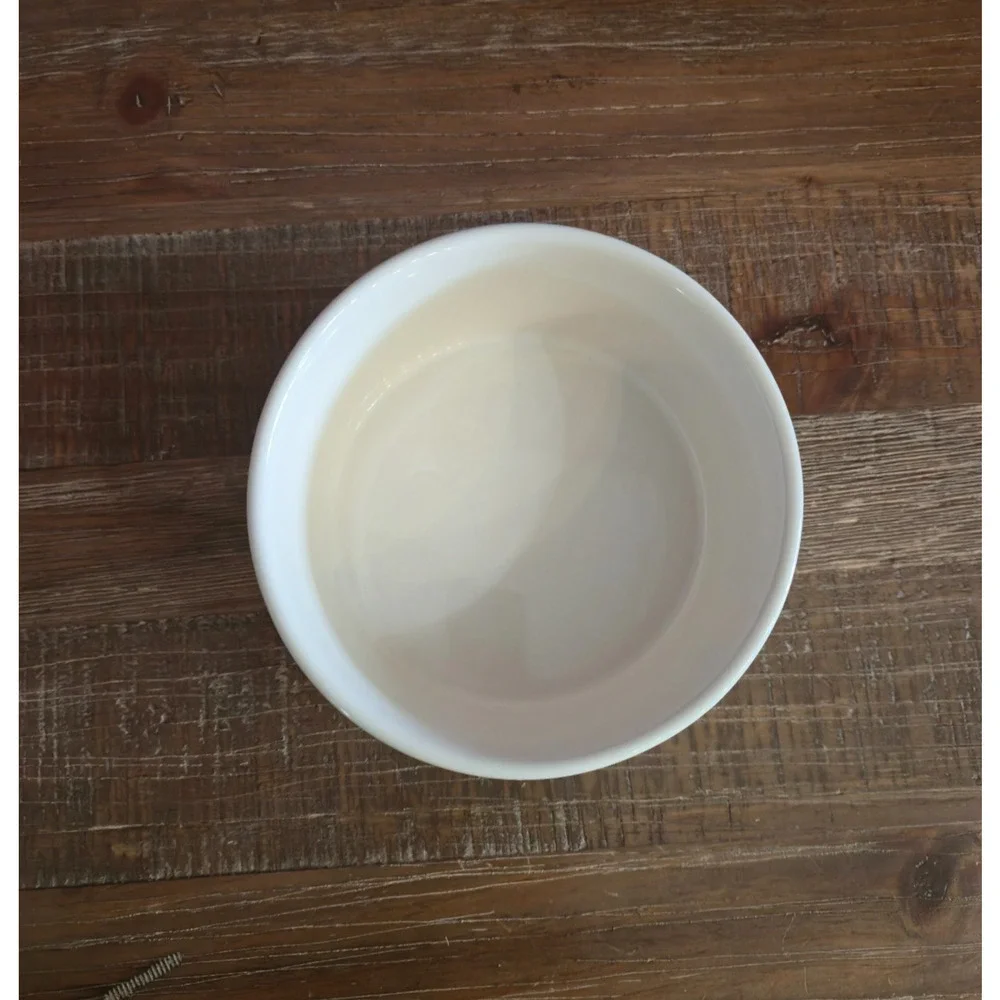 Rae Dunn Rare Canadian Maple Leaf Ceramic Dog‎ Bowl Artisan Collection Canada 6